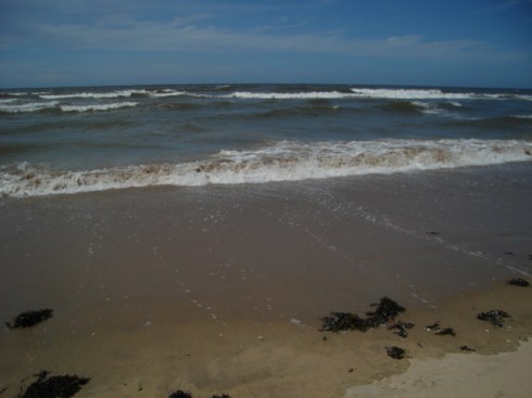 Wassenaarkatwijk_06072009