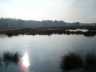 De Stulp_Lage Vuursche