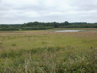 Etten_Leur_Pannehoef1