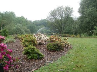 Ede_Wageningen_Belmonte2