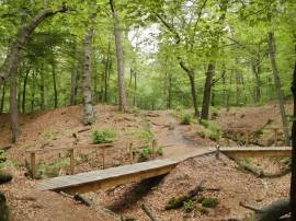 Sprengengebied Wolfheze