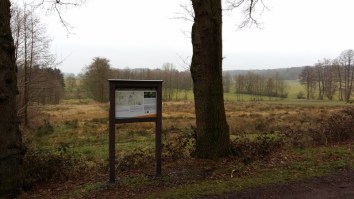 20160320_122358 (800x450)