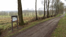 20160320_122437 (800x450)