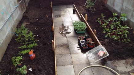 20180504_093553 (800x450).jpg