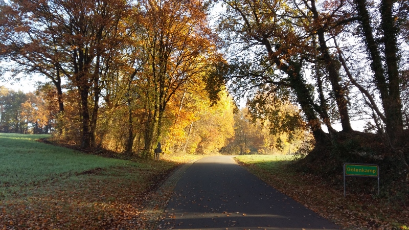 20181116_101242 Gölenkamp (1) (800x450)