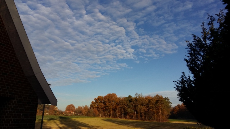 20181118_092523 (800x450)